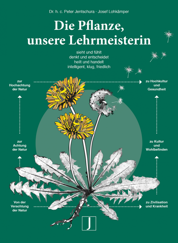 Die Pflanze unsere Lehrmeisterin, Buch - Dr. h. c. P. Jentschura - J. Lohkämper